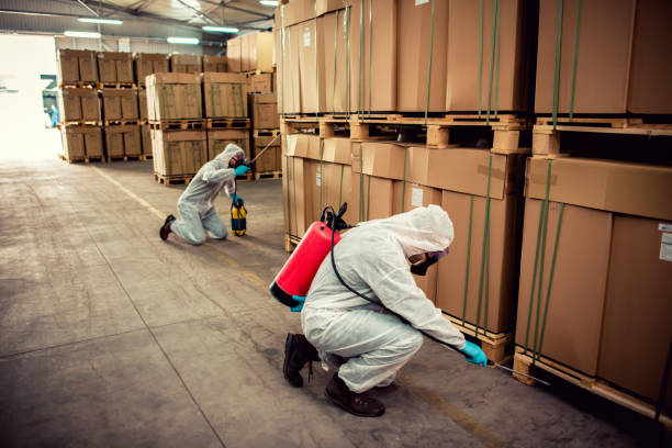 Best Affordable Pest Control Services  in Los Lunas, NM