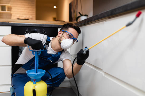 Best Rat Extermination Near Me  in Los Lunas, NM