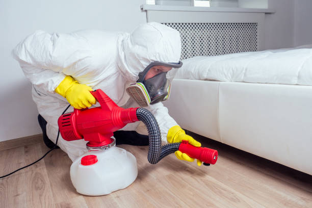 Best Affordable Pest Control Services  in Los Lunas, NM