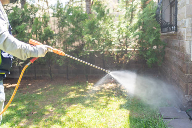 Best Wasp Removal Services  in Los Lunas, NM