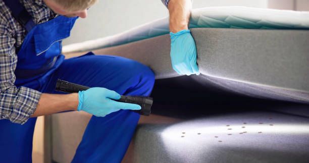 Best Insect Control  in Los Lunas, NM