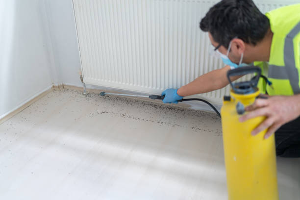 Best Insect Control  in Los Lunas, NM