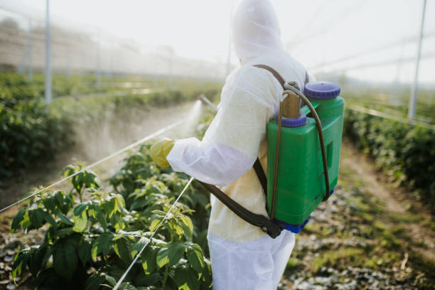 Best Local Pest Control Services  in Los Lunas, NM